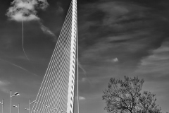 DELCOIGNE Eric Valence monochrome paysage urbain