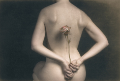 0011-COUDUN-Jean-Luc-La-rose