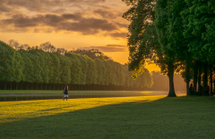 0014-AUTHIE-Anne-Lise-Chemin-de-lumiere