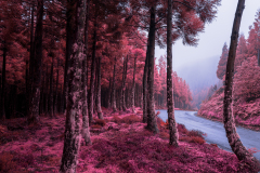 0017-GAYET-Nathalie-Pays-imaginaire