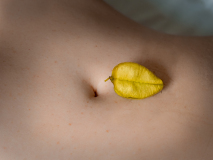 0019-COUDUN-Jean-Luc-La-graine