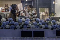 0032-SCHOENTGEN-Pierre-Andre-Les-hortensias