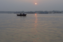 0074-LAVELLE-Frederic-Laube