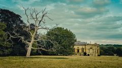 0074-MEICLER-Philippe-DownTown