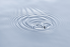 Concours Interne IP Monochrome 28 nov