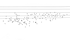 0030-AUTHIE-Anne-Lise-Etourneaux-musiciens