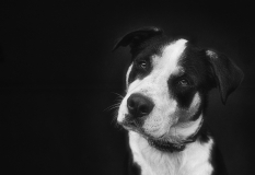 0030-MORALES-Marc-Ulysse