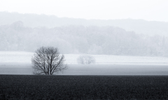 0071-AUTHIE-Anne-Lise-Brume-dans-la-plaine