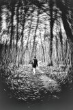 0071-CHERON-Francoise-En-Foret