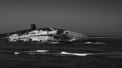 0085-GARDON-Jocelyne-GARDON_Jocelyne-Monstre