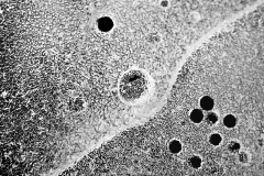 0085-LEVER-Francoise-Trous-noirs