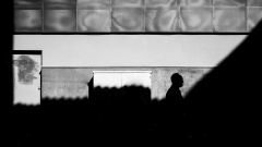 0095-VICARI-Alain-Pentu