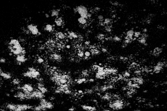 0108-LEVER-Francoise-Effervescence