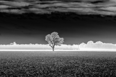 0121-CONAN-Serge-Creatif