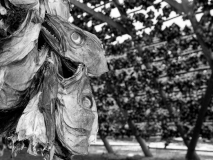 0121-REMOADI-Albert-Tete-a-tete