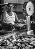 0064-REMOADI-Albert-Frais-du-jour