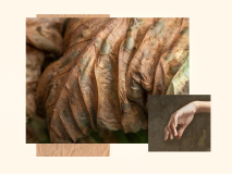 0002-COUDUN-Jean-Luc-La-feuille