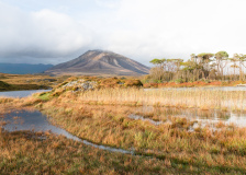 0029-GAUBIN-Sylvie-Le-Connemara
