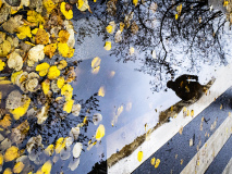 0029-VICARI-Alain-Le-passant