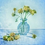 0032-CHERON-Francoise-Flowers