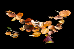 0045-LE-BOURHIS-Josette-Nature-morte