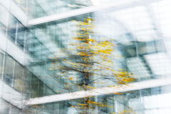 0045-SCHOENTGEN-Pierre-Andre-Bureau-paysager