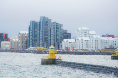 0052-MEDARD-Luc-Sortie