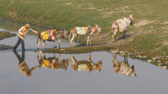 0057-REMOADI-Albert-Anier