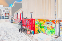 0060-MEDARD-Luc-Passage