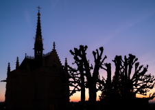 0068-ZINDY-Gilles-Leonardo