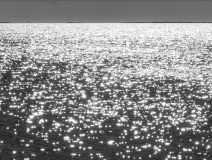 0075-DECOUR-Patrice-Camargue