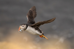 Concours Interne Papier Nature 6 mars