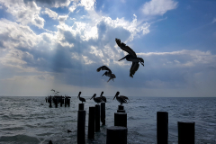 0022-FEDERLE-Didier-Derniers-arrivant-avant-apero-du-soir