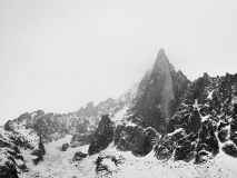 0033-AMOZOQUENO-Camilo-Pic