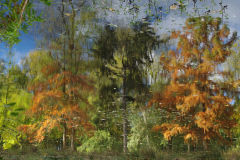 0036-DURAND-PASCALE-Desert-de-Retz