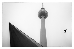 0007-MEICLER-Ghislaine-L39envolee