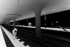 0012-MEICLER-Philippe-Chien-dans-le-metro