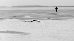 0031-VICARI-Alain-Les-pecheurs