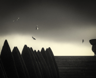 0040-AUTHIE-Anne-Lise-Les-mouettes