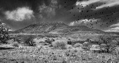 0062-LE-BOURHIS-Josette-Namib