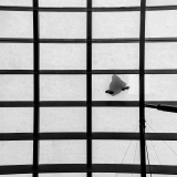 0074-MEICLER-Philippe-Pas-dans-le-vide