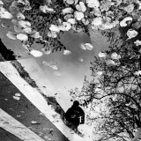 0100-VICARI-Alain-Vers-le-sol