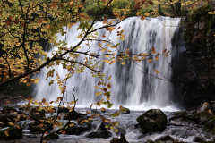 0019-dE-CUSSY-Bruno-De-CUSSY-Bruno_Cascade