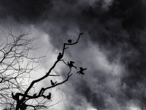 0026-WINTERHALTER-Elizabeth-Hurlevents