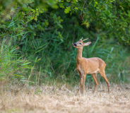 0030-AUTHIE-Anne-Lise-Miam