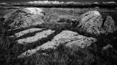 0030-VICARI-Alain-Roches-blanchies