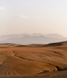 0049-AMOZOQUENO-Camilo-Desert
