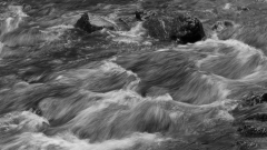 0068-dE-CUSSY-Bruno-De-CUSSY-Bruno_Torrent