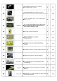 0087_Commentaires-J2