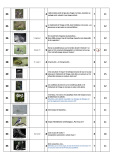 0088_Commentaires-J2